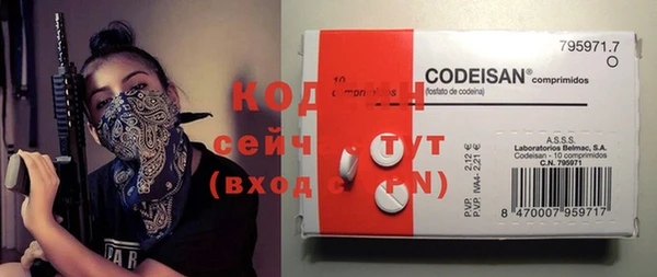 крисы Горнозаводск
