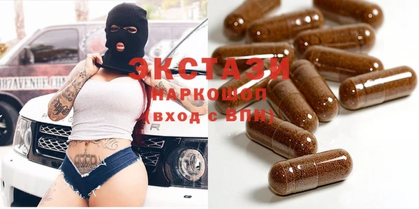 стаф Гусев