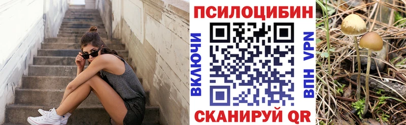 Галлюциногенные грибы мицелий  Дедовск 